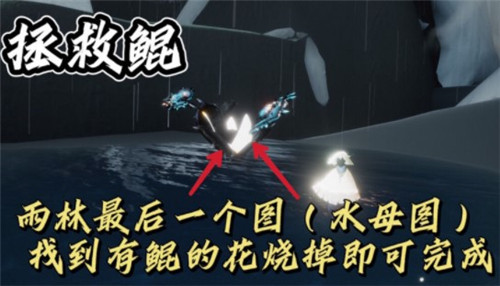 《光遇》2021年12月6日每日任務攻略