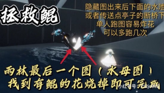 《光遇》2021年12月20日常任務(wù)完成攻略分享