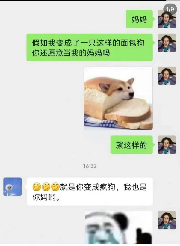 面包狗香腸狗梗出處含義介紹