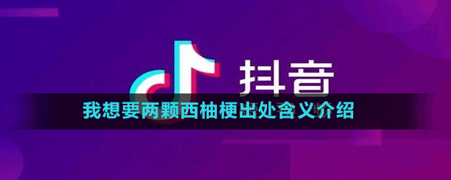 我想要兩顆西柚梗出處含義介紹