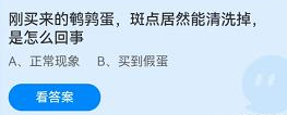 螞蟻莊園2022年4月18日每日一題答案