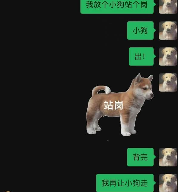 站崗小狗梗出處含義介紹