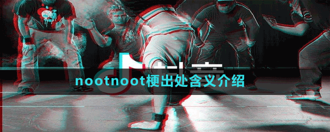 nootnoot梗出處含義介紹