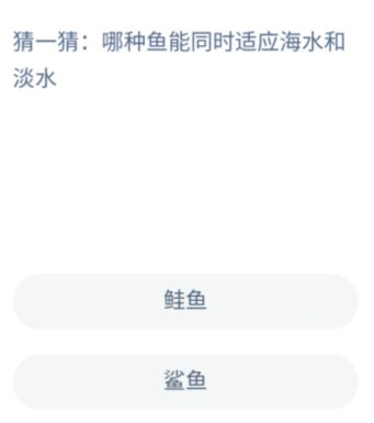 《支付寶》神奇海洋8月11日答案分享