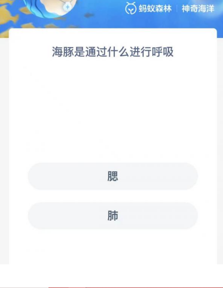 《支付寶》神奇海洋9月4日答案分享