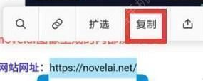 《novelai》圖像生成下載注冊方法