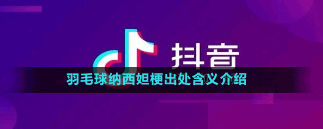 羽毛球納西妲梗出處含義介紹