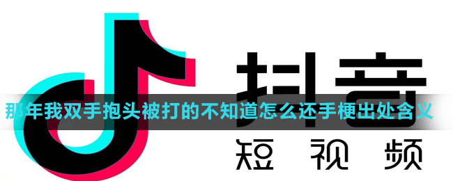 那年我雙手抱頭被打的不知道怎么還手梗出處含義