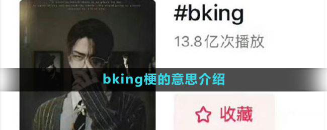 bking梗的意思介紹