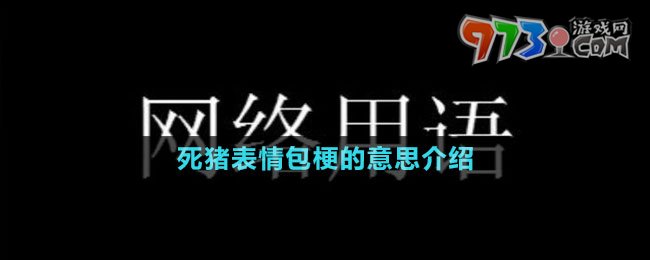 死豬驚掉下巴表情包梗的意思介紹