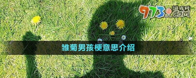 《抖音》雛菊男孩梗意思介紹