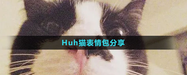 《抖音》Huh貓表情包分享