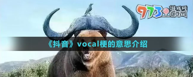 《抖音》vocal梗的意思介紹