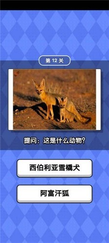 動物滑滑樂截圖(1)