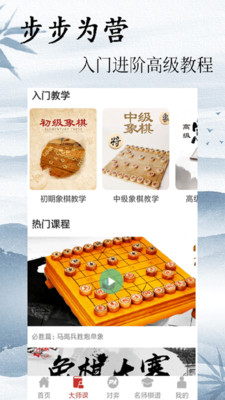 象棋大師對弈截圖(3)