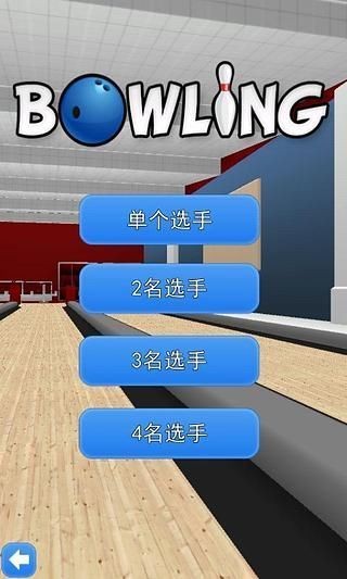 Bowling 3D截圖(1)