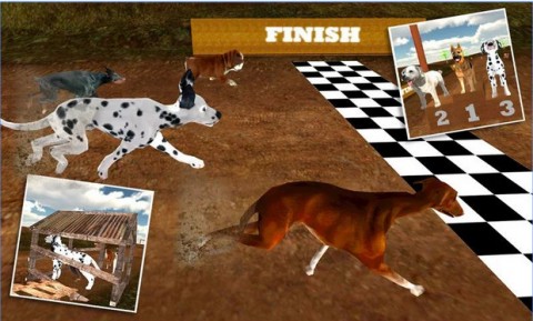 Greyhound Dog Racing 3D截圖(2)