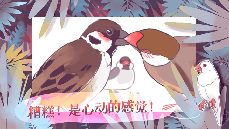 文鳥戀愛物語截圖(2)