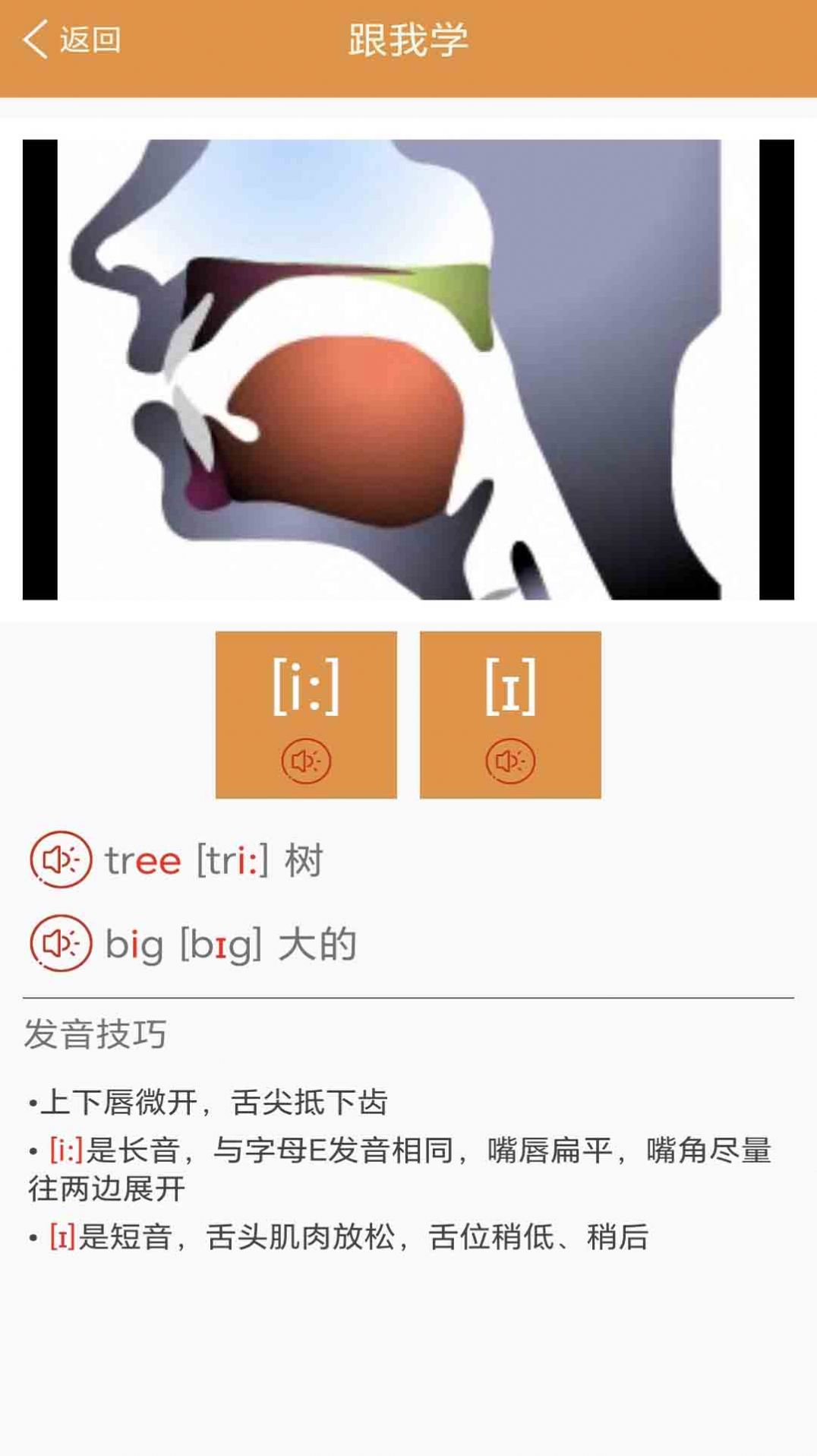 大貓英語(yǔ)國(guó)際音標(biāo)截圖(1)