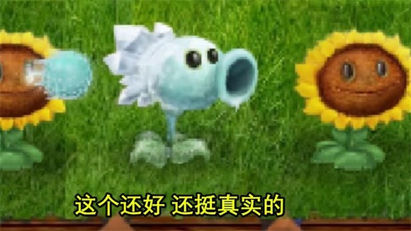 植物大戰(zhàn)僵尸現(xiàn)實(shí)畫風(fēng)版截圖(4)