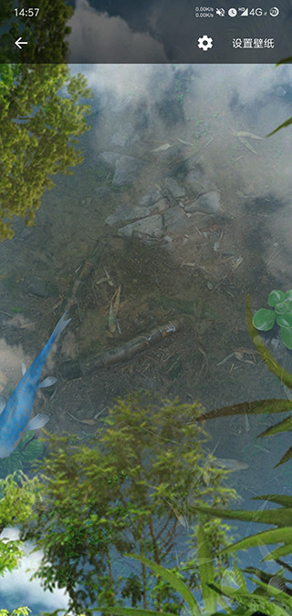 魚池動態(tài)壁紙截圖(3)