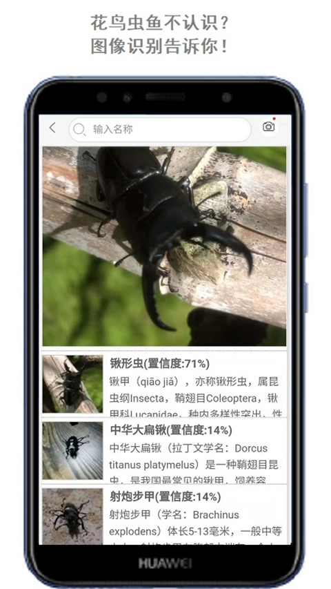 萬物識(shí)別截圖(2)
