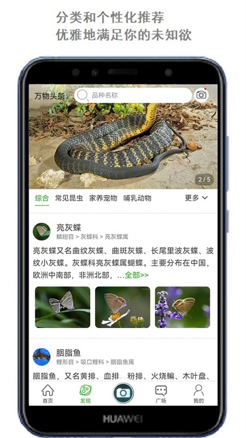 萬物識(shí)別截圖(3)