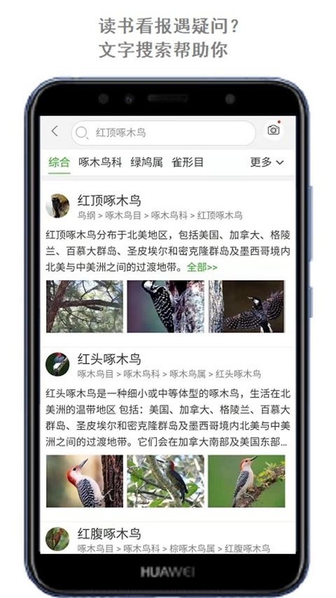 萬物識(shí)別截圖(4)
