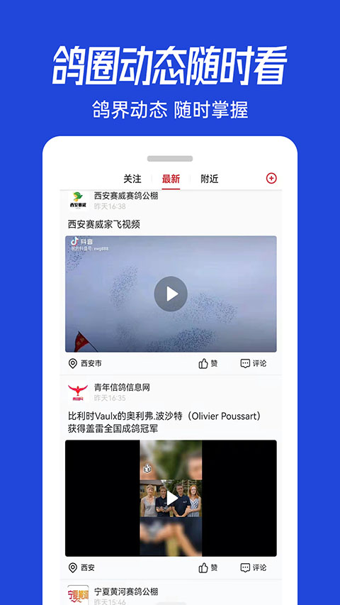 青鴿網(wǎng)截圖(1)
