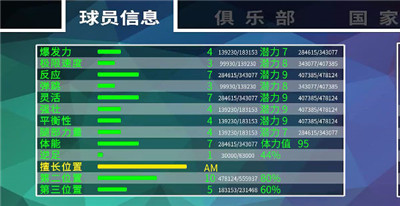 職業(yè)足球生涯截圖(2)
