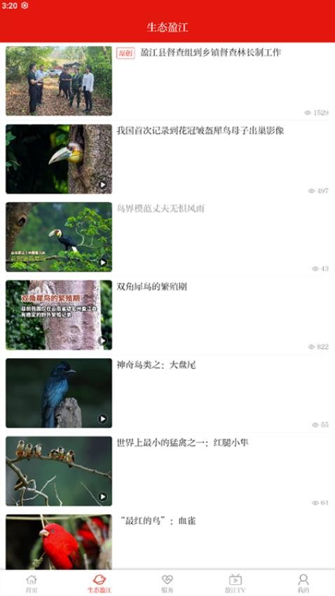 盈江云截圖(4)