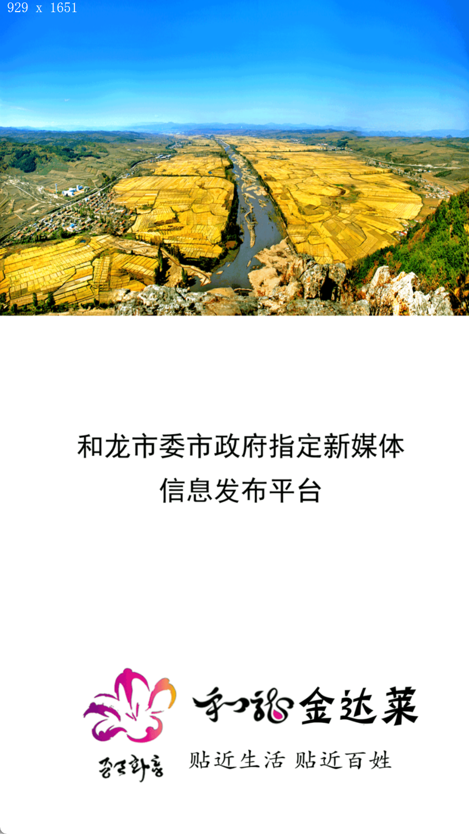 和龍金達(dá)萊截圖(4)