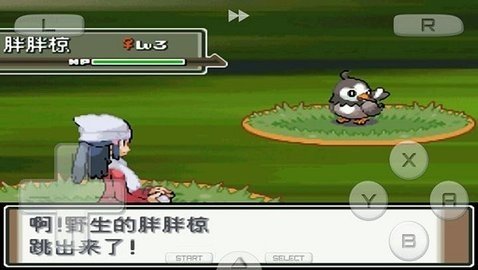 口袋妖怪白金493漢化版截圖(3)