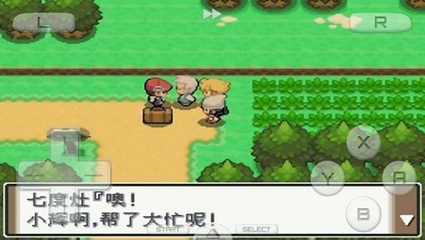 口袋妖怪白金493漢化版截圖(1)