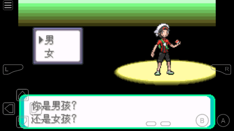 口袋妖怪日月寶石截圖(2)