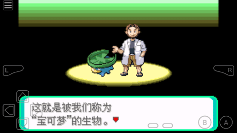 口袋妖怪日月寶石截圖(3)