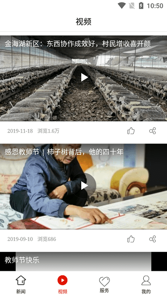 金海湖融媒截圖(3)