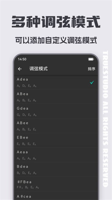 琵琶調(diào)音大師截圖(2)