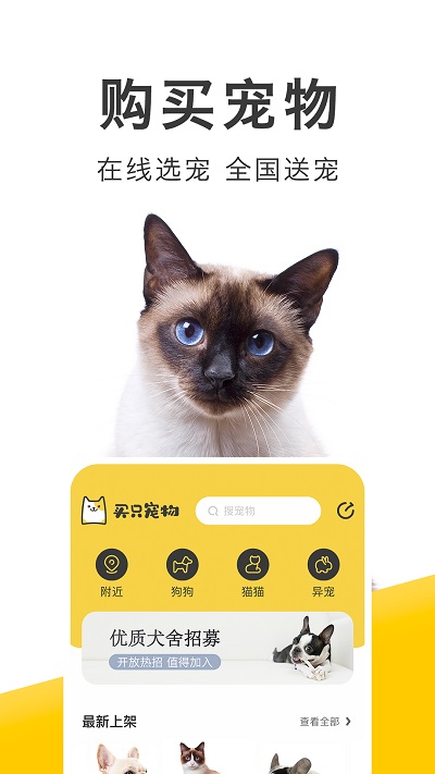 買只寵物截圖(1)