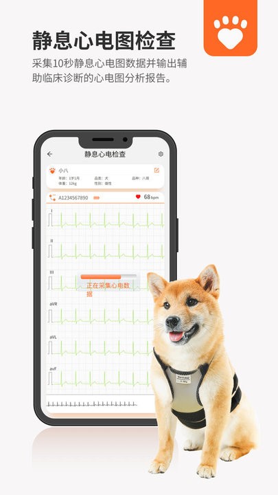 星愛(ài)寵截圖(1)
