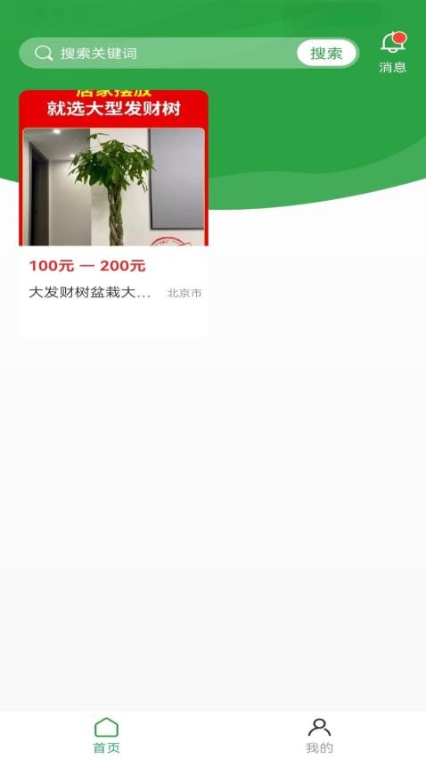 苗木嘉截圖(3)