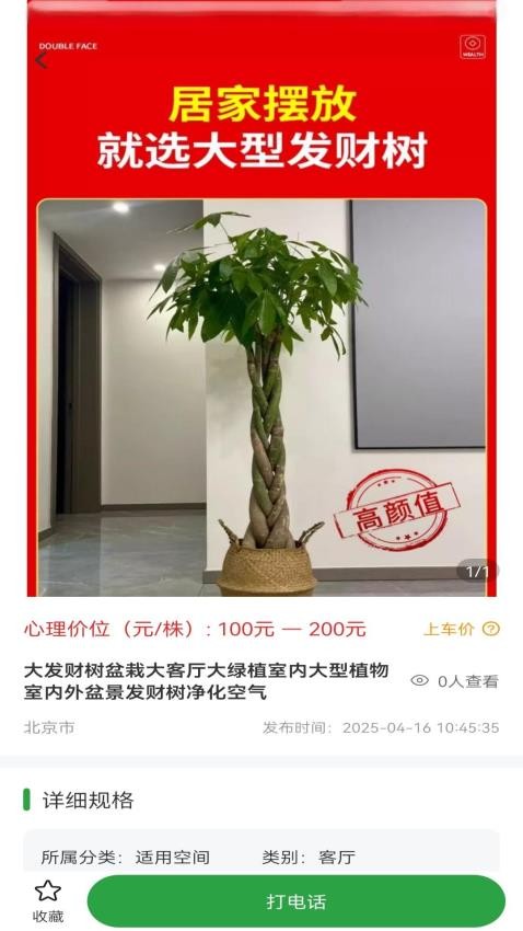 苗木嘉截圖(4)