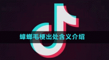 蟑螂毛梗出處含義介紹