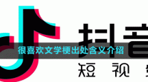 很喜歡文學梗出處含義介紹