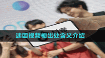 迷因視頻梗出處含義介紹