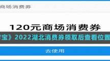 《支付寶》2022湖北消費(fèi)券領(lǐng)取后查看位置介紹