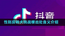 性別反轉(zhuǎn)大挑戰(zhàn)梗出處含義介紹