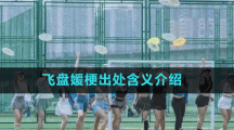 飛盤媛梗出處含義介紹