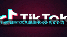 為何我眼中常含胖虎梗出處含義介紹