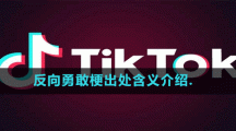 反向勇敢梗出處含義介紹